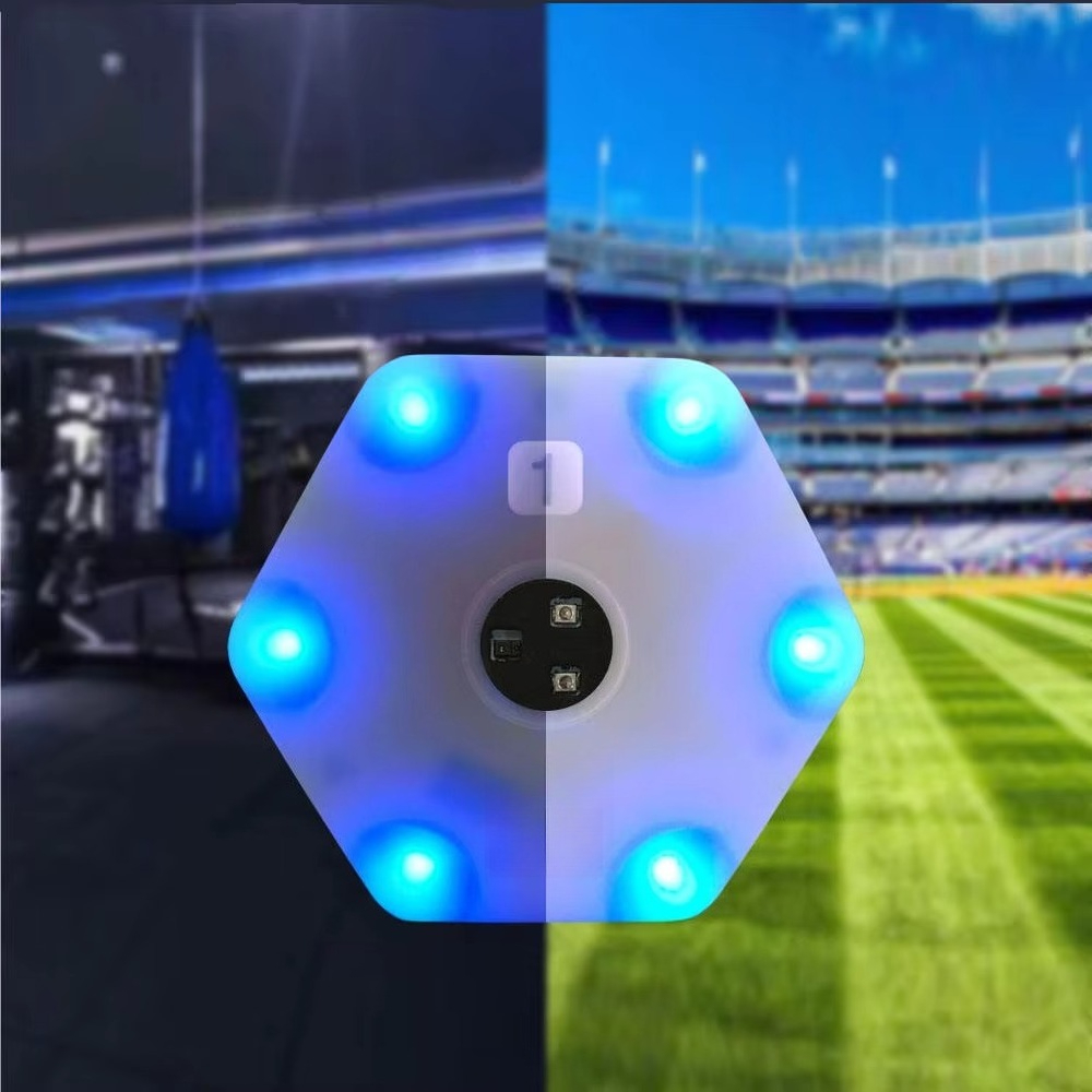 version of agile training reac - مراجعة Sports Equipment Training وسعره