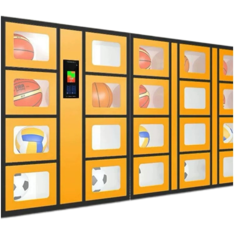 24-hour Smart Sports Equipment - مراجعة Sports Equipment Rental وسعره